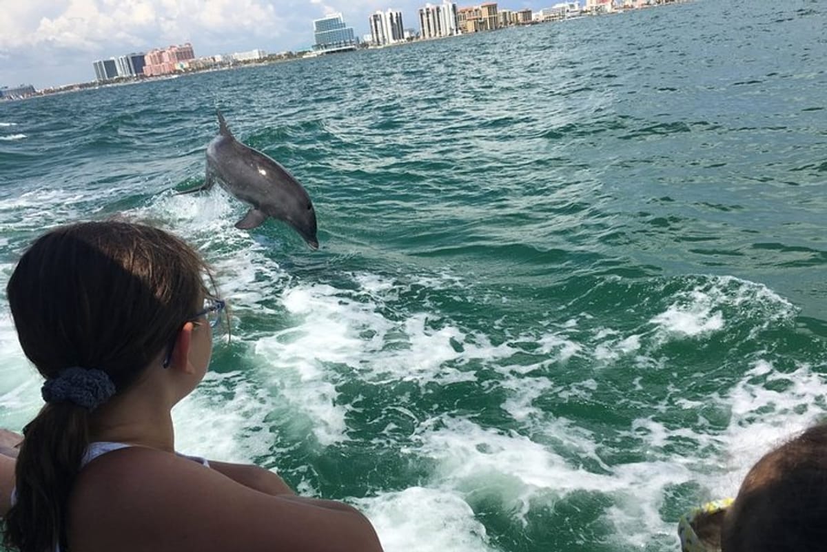 little-toot-dolphin-adventure-at-clearwater-beach_1